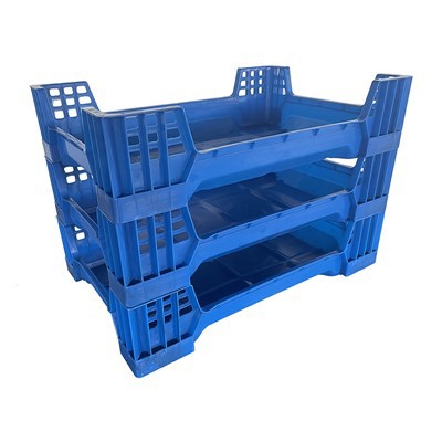 BSF Kêşkêş Box Breeding